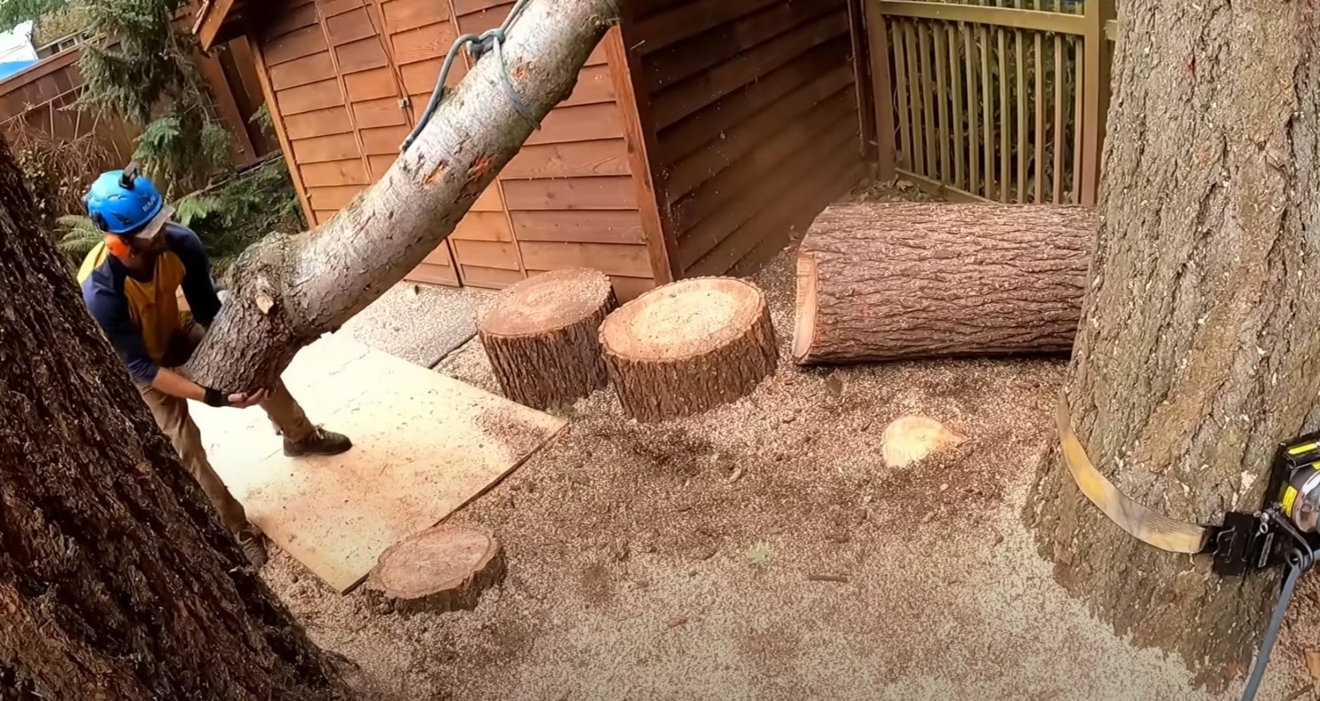 Tree cutting and sectioning work in residential backyard setting