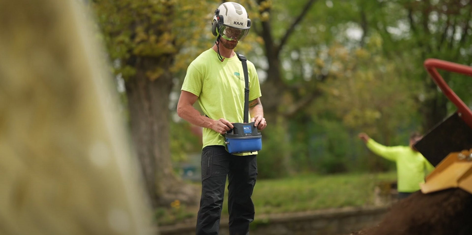 Professional tree service equipment and crew in action