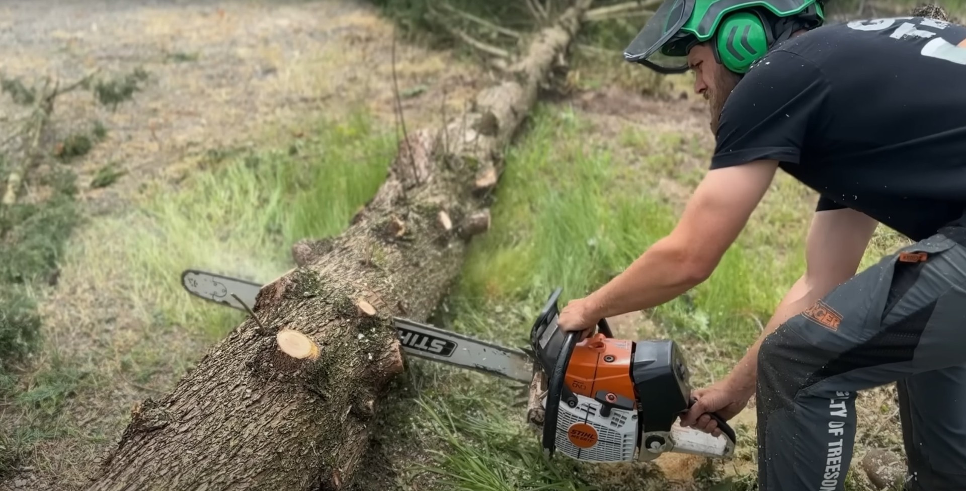 Professional arborist performing precise tree cutting with chainsaw