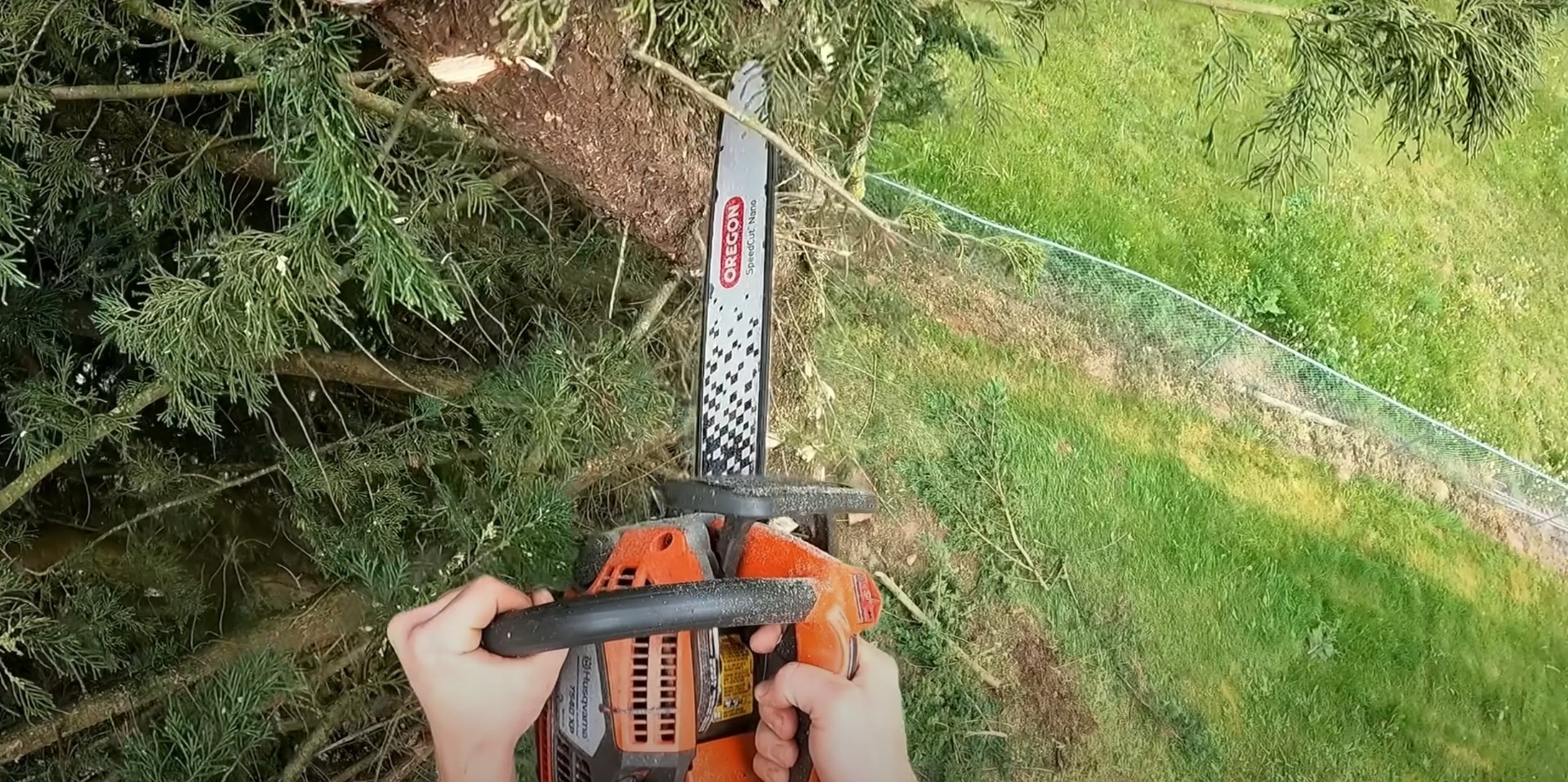 Chainsaw being used for professional tree trimming and pruning work