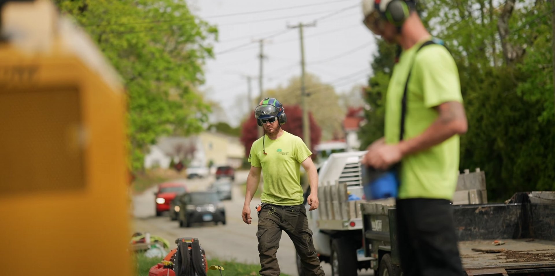 Expert arborist consulting services in Maitland, FL Professional certified arborists consulting and assessing trees for development project