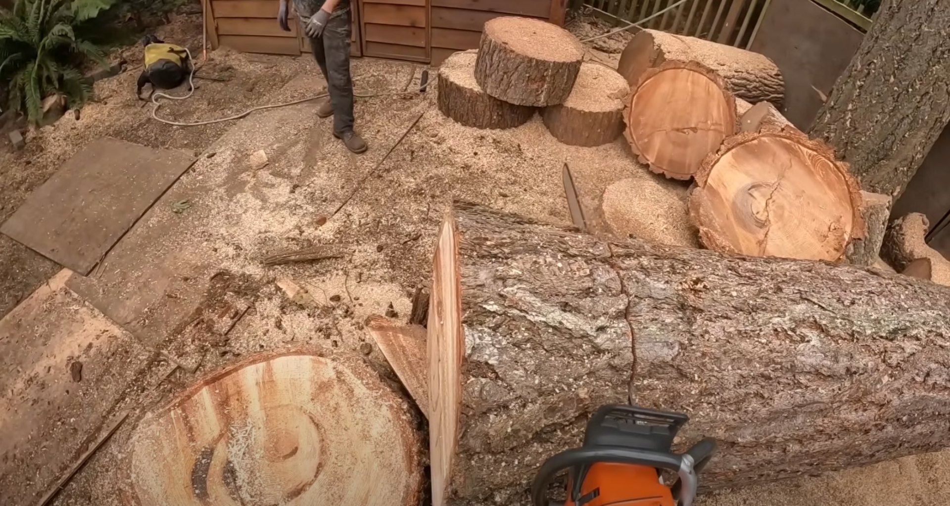 Tree service work area with equipment and cut logs