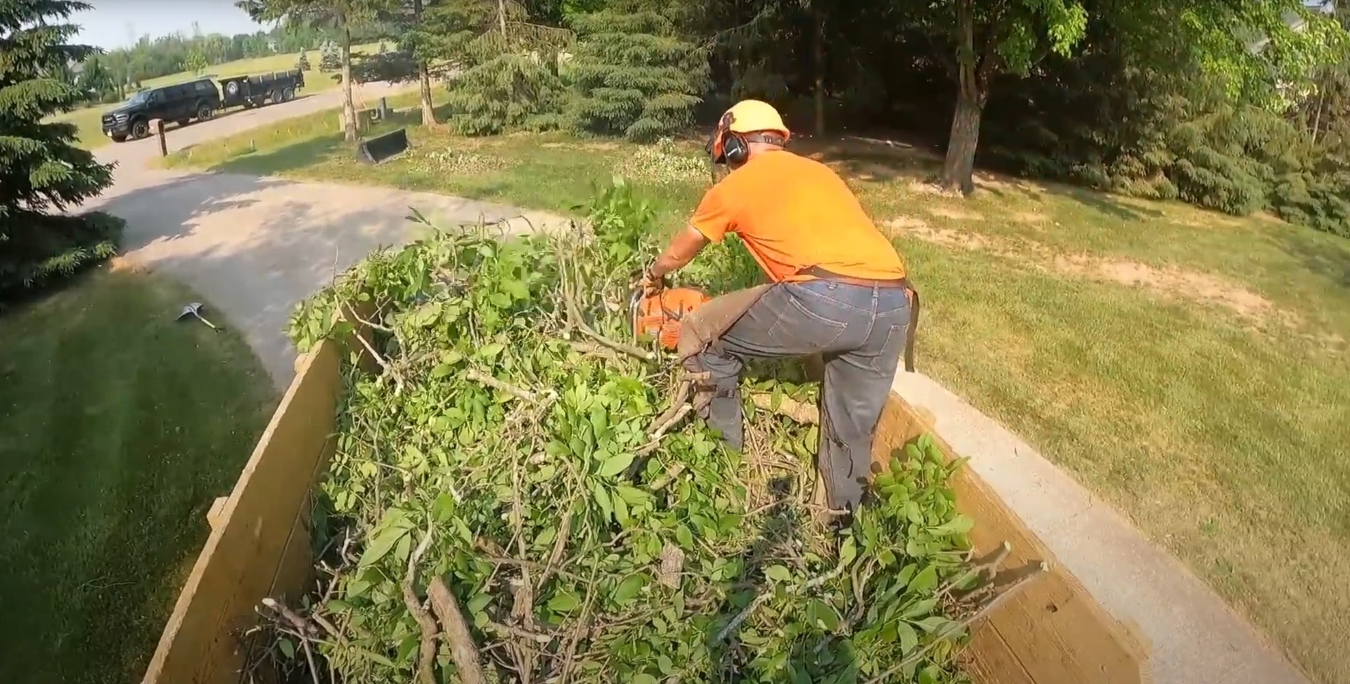 Tree service professional performing shrub and vegetation management