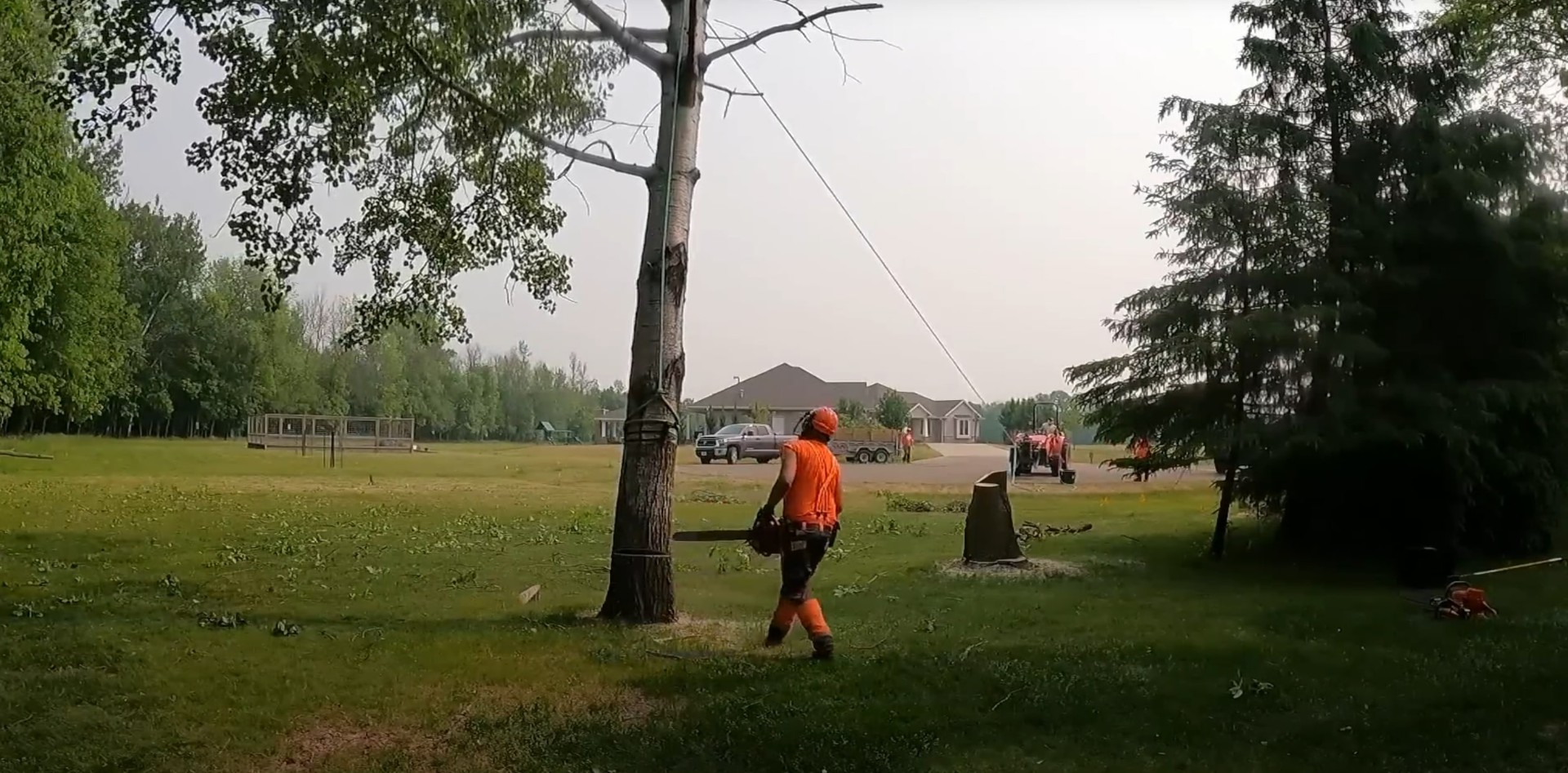 Professional tree removal work in park setting with safety equipment